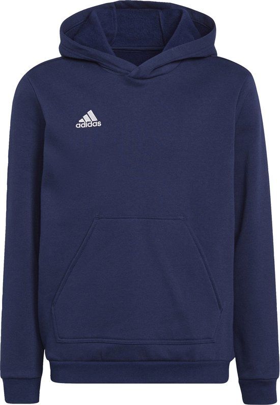 adidas Performance Entrada 22 Sweat Hoodie - Kinderen - Blauw - Maat 116