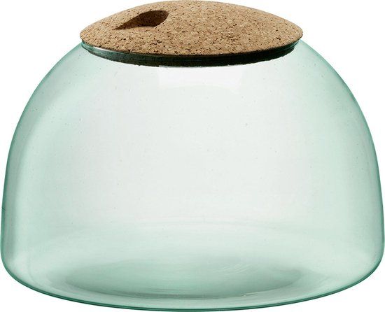 LSA Canopy Planten Terrarium - Ø 24 cm - 16,5 cm Hoog - Glas - Transparant