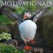 Willow Creek Press Motivationals 2027 12 X 12 Calendrier mural