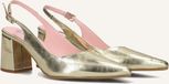 Notre-V 2315cp Hakken Dames - Goudkleurig - Maat 40
