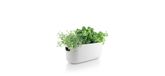 Eva Solo 568168 - Plantenbak - wit