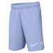 NIKE heren Korte broek Df Acd21