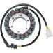 STATOR Electrosport STATOR VOOR VT600C 88-07