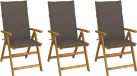 vidaXL Set van 3 klapstoelen met kussens, massief acaciahout, taupe