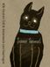 Siens hemel (Paperback)