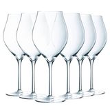 Chef&Sommelier Exaltation Collection 6 steelglazen 55 cl