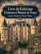 Livre de Coloriage Châteaux et Manoirs de France pour Seniors à Gros Traits