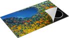 Chefcare Inductie Beschermer Kleurrijke Bos met Bomen naast een Meer - 89,6x51,6 cm - Inductie Mat