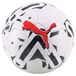 PUMA Voetbal Orbita 3 TB 083777