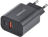 Intenso 7803010 netvoeding & inverter