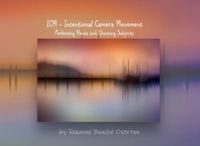 ICM - Mouvement d'appareil photo intentionnel : Perfectionner les mouvements et choisir les sujets
