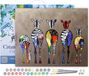 Figured'Art Schilderen op Nummer Volwassenen met lijst - Zebra's Terug - Handwerk acrylverf Kit DIY Compleet - 40x50cm Canvas al ingelijst