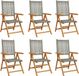 vidaXL Tuinstoelen 6 st verstelbaar poly rattan en massief hout grijs