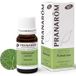 Pranarôm Huile essentielle biologique de Palmarosa 10 ml