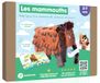 Les Pandacraft Les mammouths - kit Pandacraft 3-7 ans: Créé ton mammouth laineux et joue !