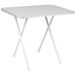 Camp-Gear Table de camping Junior - Pliable - Gris - Acier - 60x40 cm
