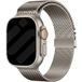 Strap-it Apple Watch Bracelet Milanais Modern (titane)