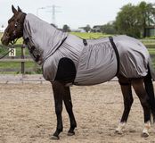 Harry's Horse Eczeem/vliegendeken UV 165 Grijs / Zilver