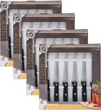 Gerimport Vlees-/Steakmessen - 24 Stuks - Roestvrijstaal - Kunststof Handvat - 21 cm
