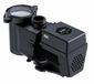 AquaForte ECO IVS 100 variabele zwembadpomp