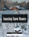 Amazing Snow Homes: A Stunning Coffee Table Picture Book – For Travelers & Winter Lovers