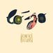 Fonetiq Flowers - Lo'Jo - Harmonia P - Z World Village - LP - Standard Edition - 2 stuk(s) - Stereo - Folk - 2017