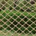 Filet de sécurité pour balcon et jardin en jute