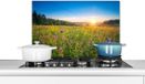 KitchenYeah Spatscherm keuken 70x50 cm - Zon - Gras - Bloemen - Aluminium