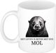 Bellatio Decorations Cadeau mok voor de familie Mol - het leven is beter met - wit - keramiek - 300 ml