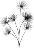 Merkloos Countryfield Kunstbloem Grevillea M zwart