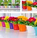 Don-Plast DA 14 Aga Bloempot, Roze Mat, 140 x 125 mm