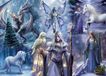Bluebird Puzzle legpuzzel Anne Stokes Winter Fantasy 1000 pièces.