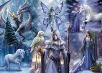 Bluebird Puzzle legpuzzel Anne Stokes Winter Fantasy 1000 pièces.