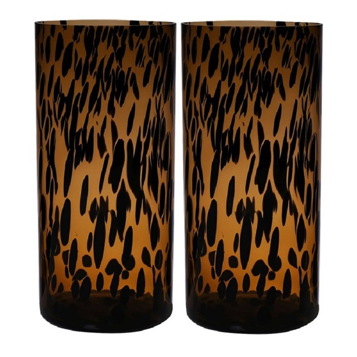 Set van 2x stuks modieuze bloemen cylinder vaas/vazen van glas 30 x 14 cm zwart fantasy - Bloemen/takken/boeketten