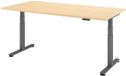 hjh OFFICE PRO XDSM 2E G Bureau - Érable 200 x 100 cm