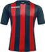 Acerbis Sports JOHAN STRIPED S/SL JERSEY (Sportshirt) BLUE/RED S