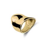 Lucardi Dames Stalen goldplated ring asymmetrisch