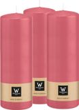 Wiedemann Bougie cylindrique/bougie pilier - 3x - rose - 20 x 7 cm - 103 heures de combustion