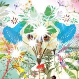 Konkurrent OOIOO - Gamel (2 LP)