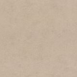 Behang Rasch Vinylbehang op de flizelin pam. Kimono Rasch 0.53x10.05m 4081-64 Bruin Papier