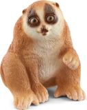 Schleich WILD LIFE Plompe lori - 14852