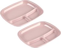Plasticforte vakjes diner borden - 2x - roze - kunststof - 21 x 24 cm - 3 vakken - bbq en camping