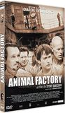 Animal Factory DVD Regiocode 2