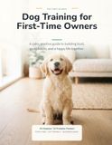 Dog Training for First-Time Owners: A calm, positive guide to building trust, good habits, and a happy life