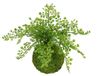 Kunstplant Vrouwenhaar op mosbal varenstruik bosvaren kunstplant kamerplant kantoorplant groene plant decoratieve bal kunstmos struiken decoratievacht varenplant