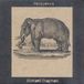 Konkurrent Michael Chapman - Pachyderm (LP) (Limited Edition)
