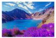 Paysage Puzzle 6000 Pièces 179 x 105 cm