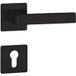 Hermat Poignée de porte WEST 02 en acier inoxydable, PZ - Cylindre profilé noir mat
