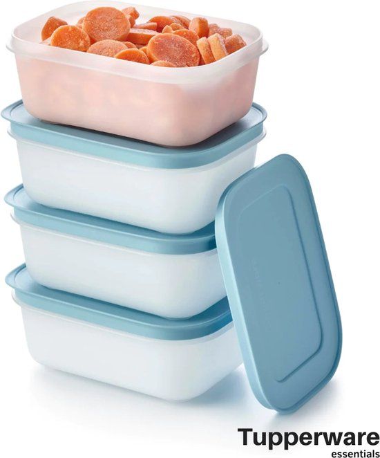 Tupperware Essentials Freezer Mates - 4 x 450ml Vershoudbakjes met Deksel - Wit/Turquoise