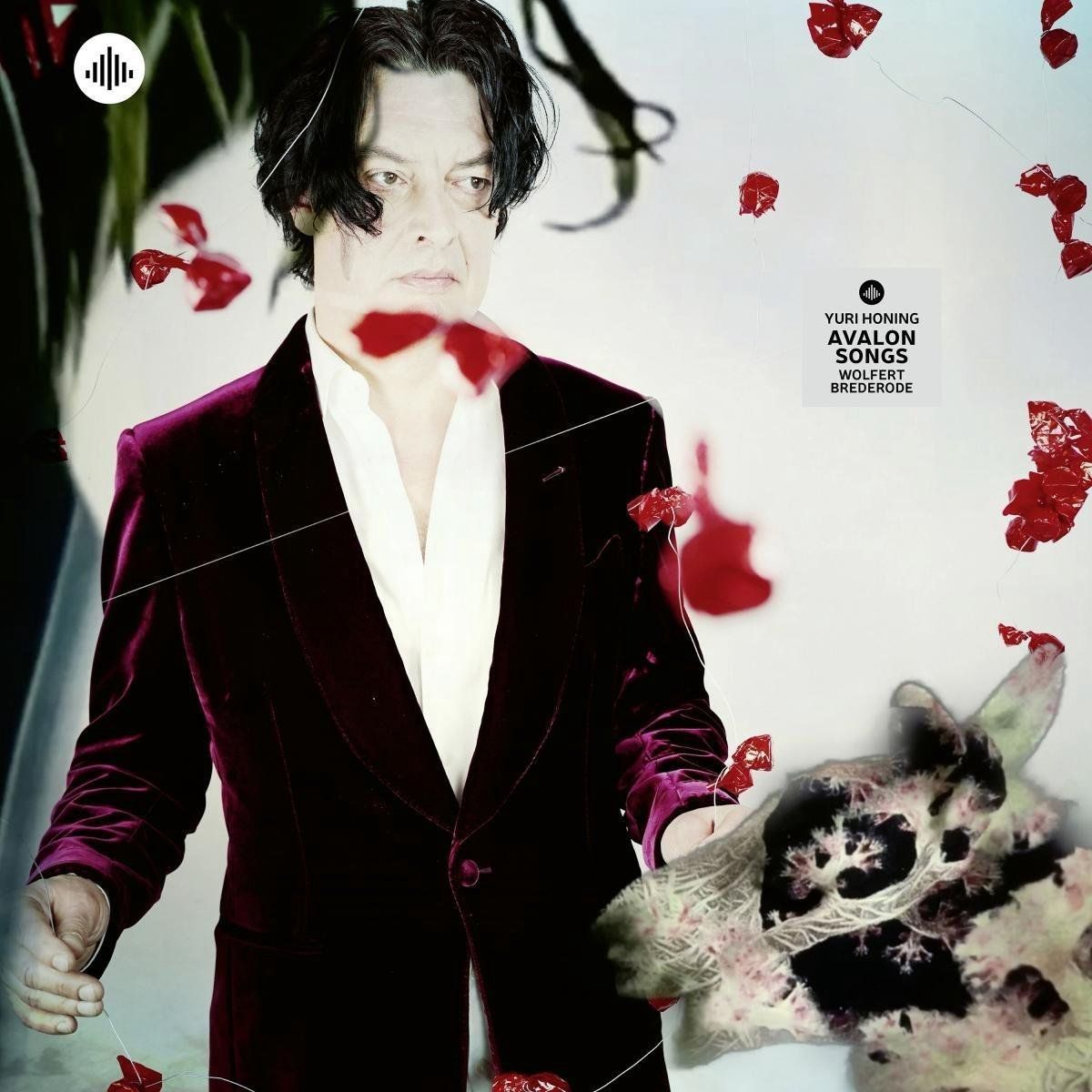 Sonic Rendezvous Avalon Songs